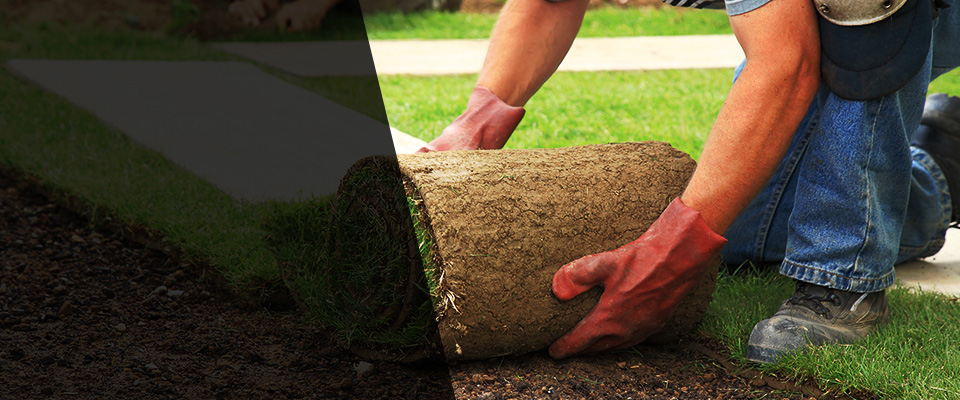 Lafayette Landscapers